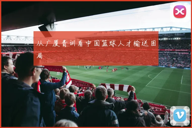 从广厦青训看中国篮球人才输送困局