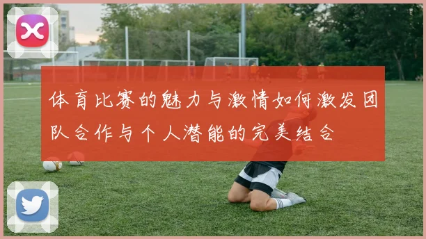 体育比赛的魅力与激情如何激发团队合作与个人潜能的完美结合