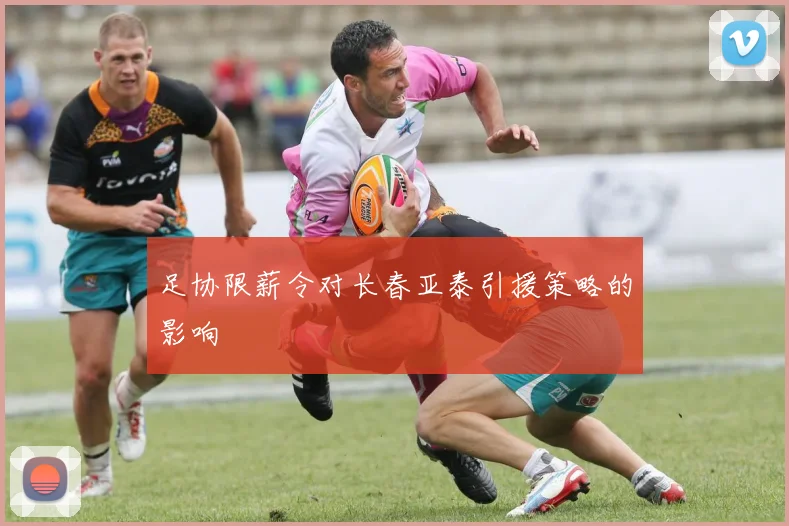 足协限薪令对长春亚泰引援策略的影响