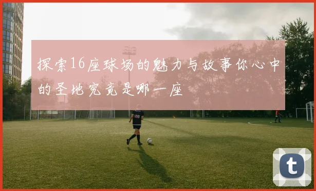 探索16座球场的魅力与故事你心中的圣地究竟是哪一座